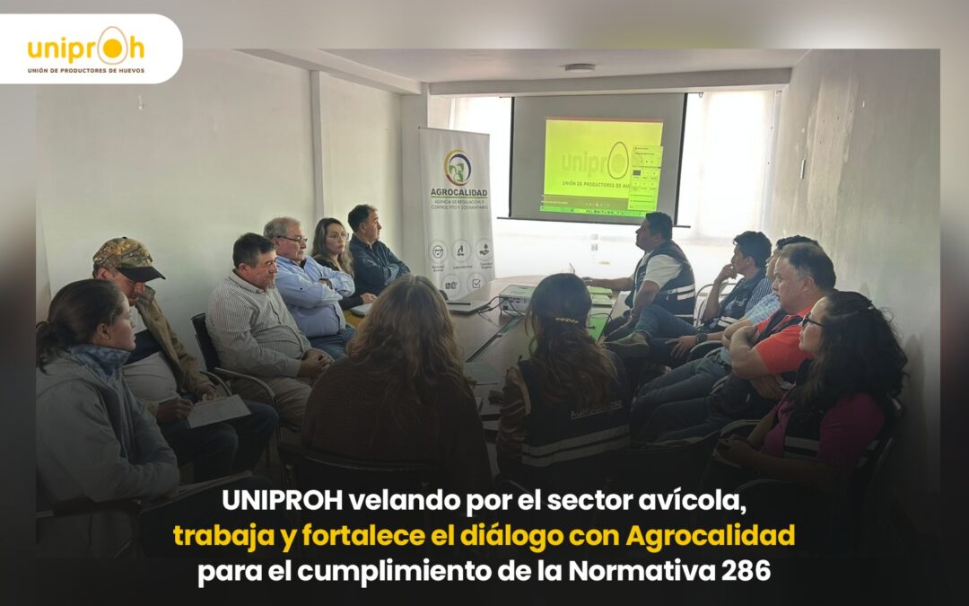 UNIPROH vela por el desarrollo del sector avícola