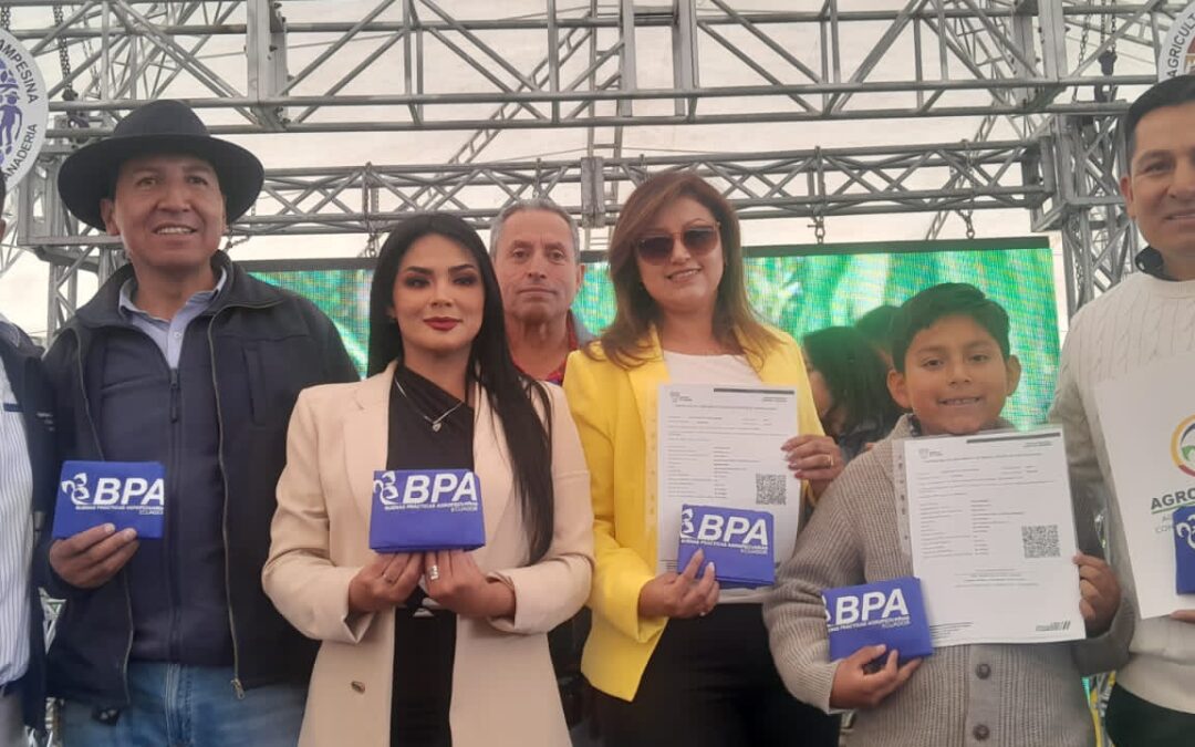 Reconocimiento de la Avícola YEMASOL S.C.A.